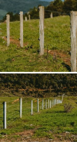 1.8 meter Half round posts (Waikato only)