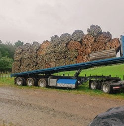 1.8 meter Half round posts (Waikato only)